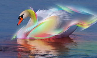 05月29日国内活鹅与鹅肉市场价格行情分析