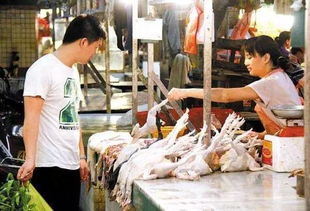 8月起，临安新规实施，家禽管理首当其冲