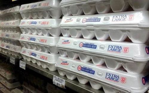 全球爆发新疫情 加拿大紧急扑杀26万只家禽，致死率高达60%引担忧