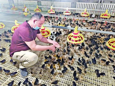 家禽养殖促增收，阿瓦提县乡村振兴添活力